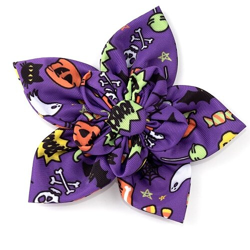 Worthy Dog - Fright Night Pinwheel - OUT OF STOCK